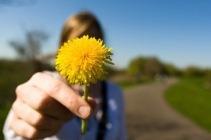 How Can We Forgive Others